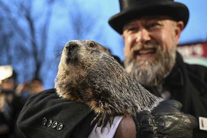 Groundhog Day