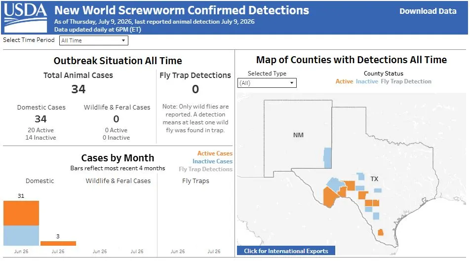 Siguen los casos del gusano barrenador del Nuevo Mundo en Texas; su origen aún es un misterio