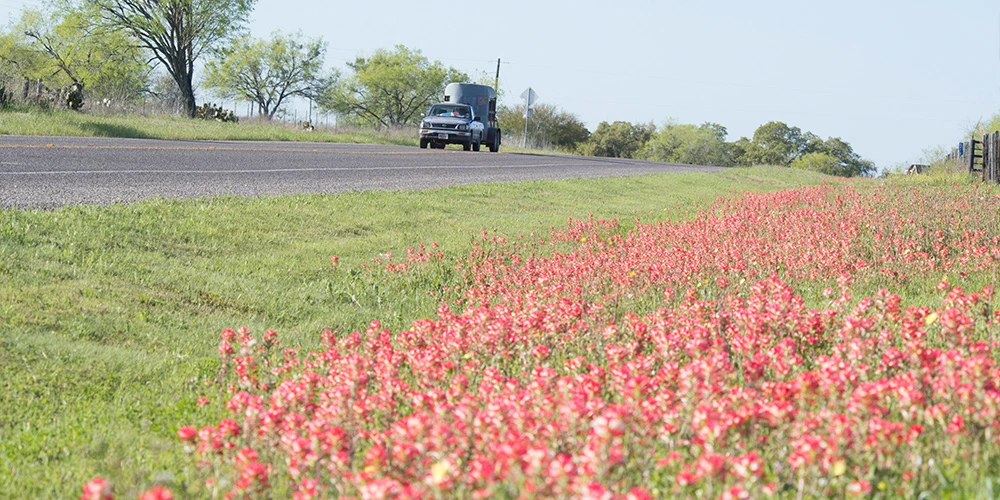 Texas Department of Transportation