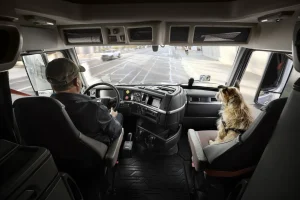 Volvo Trucks’ Pet Safety Guide for Truck Drivers